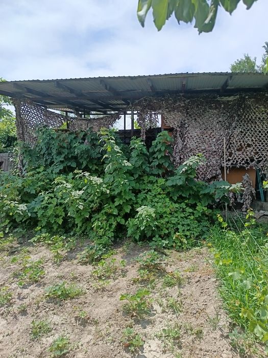 Продам дом г. Алатау