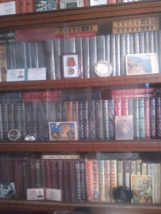 Большая домашняя библиотека