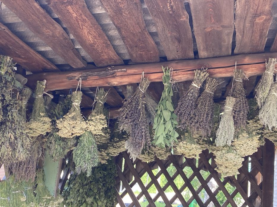 Зверобой,шалфей,пижма