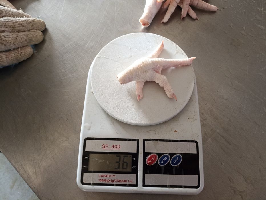 Куриные лапки. Paws