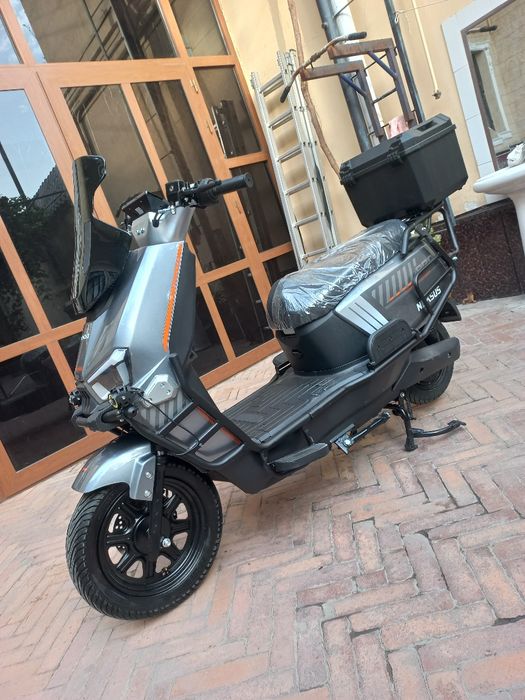 Янги юрмаган оптом