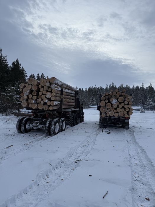 Доска агаш тактай