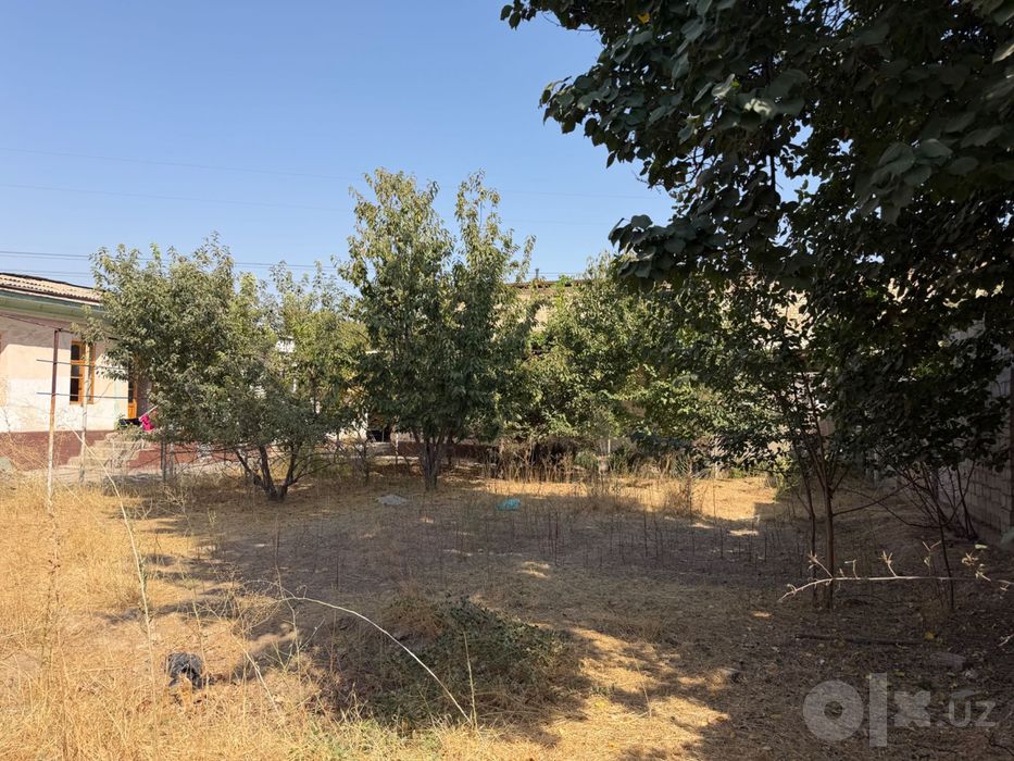 Срочно ТашГресда ховли сотилади