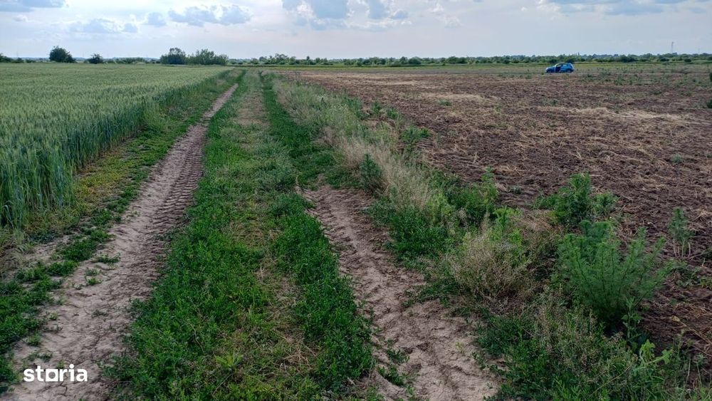 Teren intravilan de vanzare | Peris | 10.000 mp | Investitie sigura