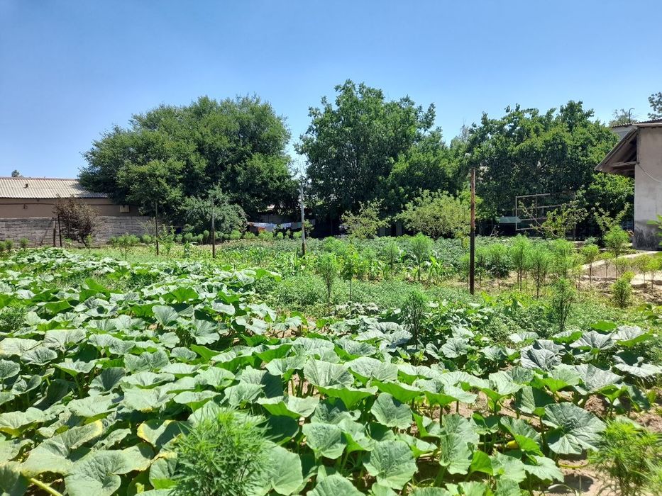 Земляной участок