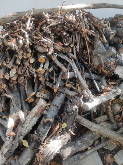 Продаются дрова от фруктовых деревьев