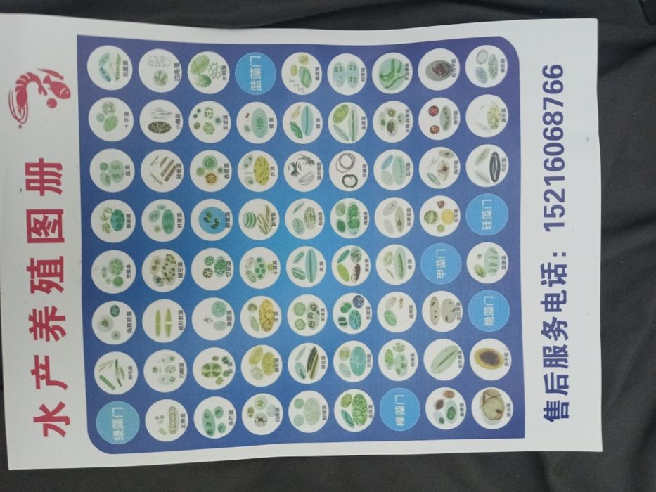 микроскоп  набор 80000 лоболоторие