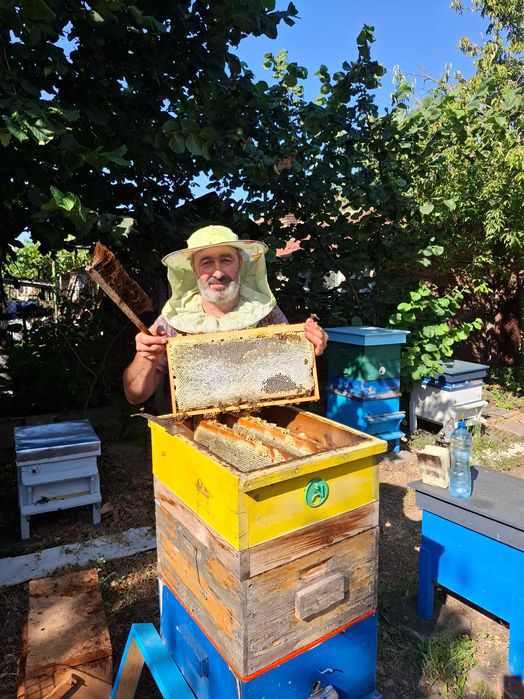 Натурален пчелен мед