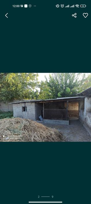 Продается дом  в куйчичрчикском районе