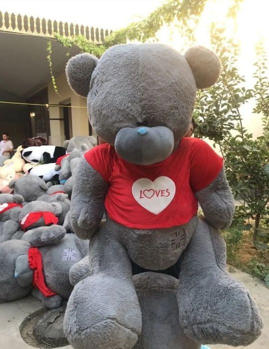 Teddy Тедди  Yumshoq oyinchoqlar (30sm 3m)