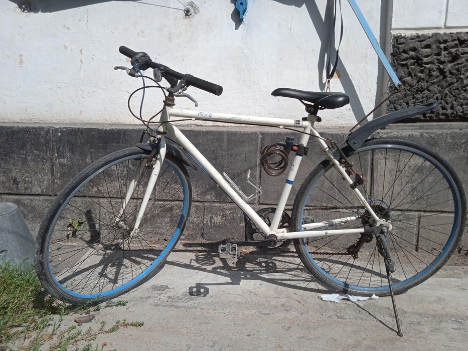 Спортивный Шоссейник