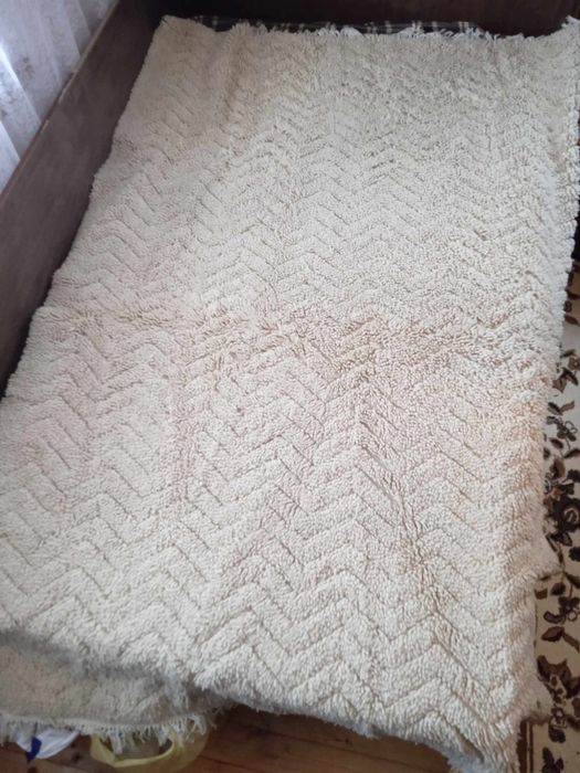 Родопски китеник