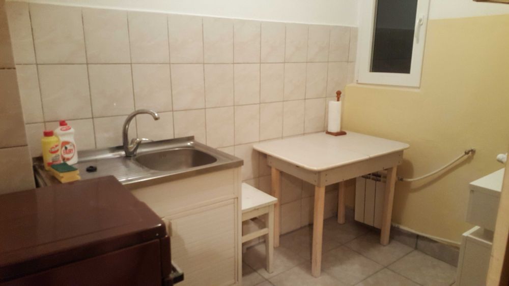 Dau in chirie apartament 1 camera, Nufarul