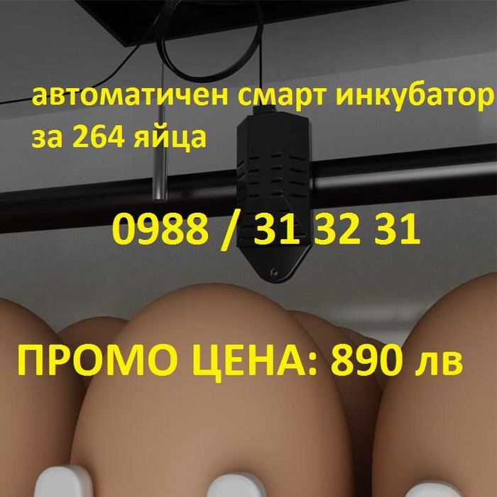 Промо! Автоматичен смарт инкубатор 264 яйца, професионална серия