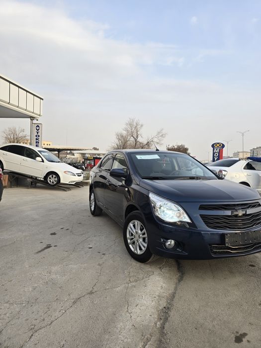 Кобальт ат сотилади 2024-25