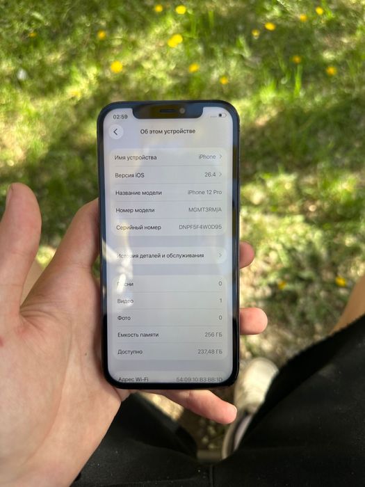 iPhone 12 pro 256Gb 100%