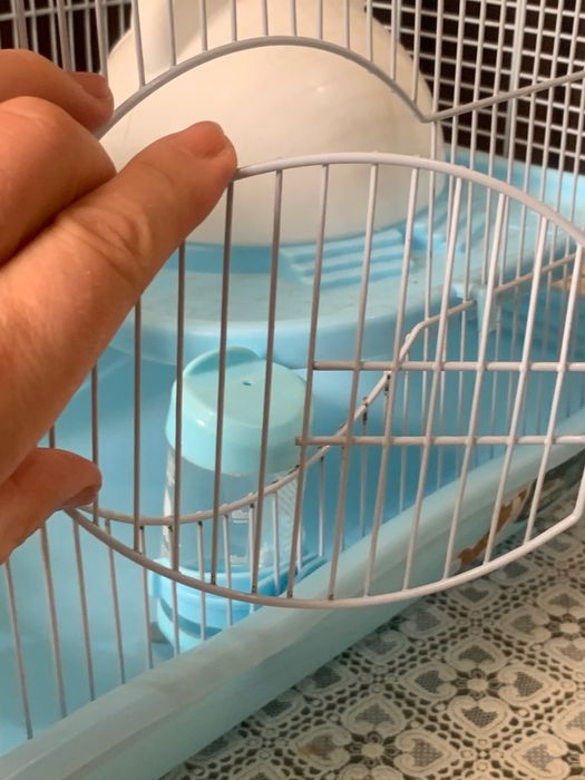 Клетка для хомячков и террариум