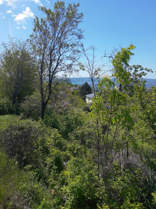 Продава се Парцел в Варна, Базар Левски - 2107 кв.м за 99 €/кв.м - Снимка #8