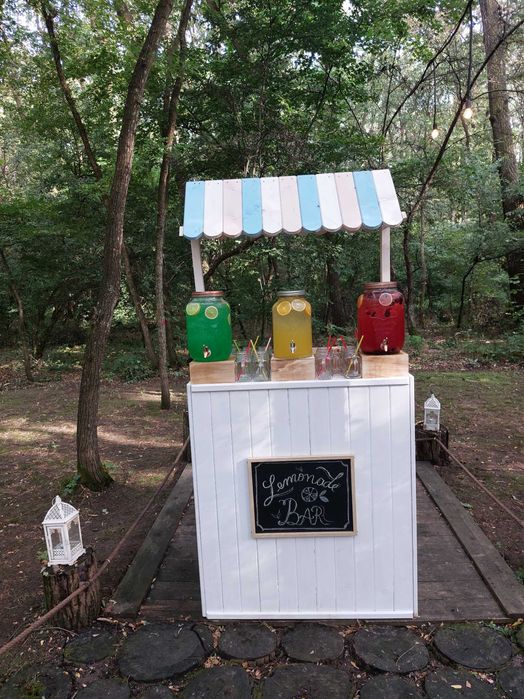 Lemonade bar de la 950 lei