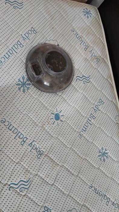 Изтупване с Rainbow/Рейнбоу в Бургас и региона на ТОП ЦЕНИ от Refresh!