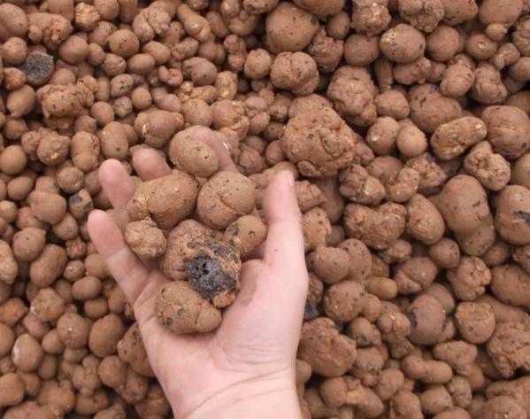 Keramzit.uz Toshkent