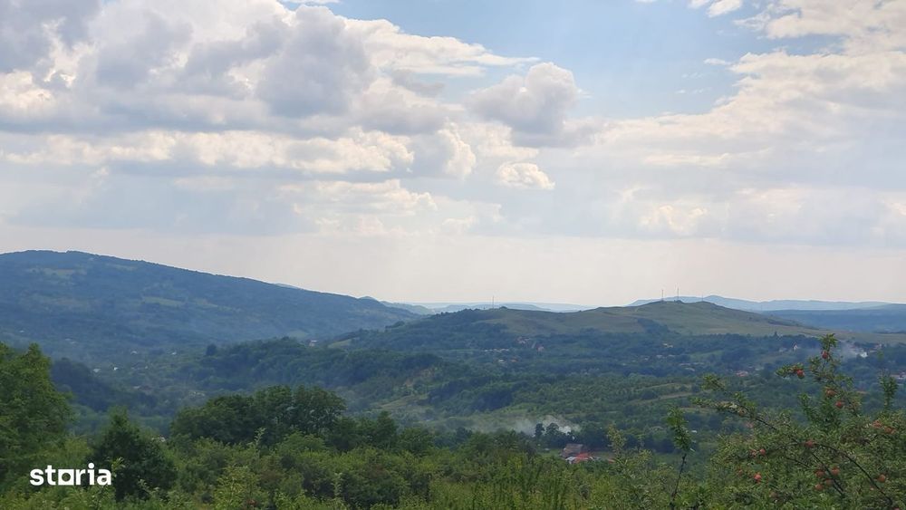 Teren intravilan cu livada 9000mp