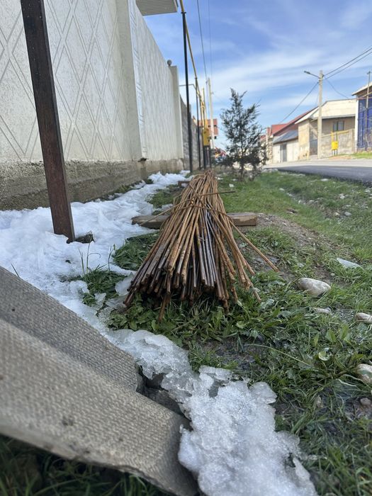 Пруд десятка 6 метр