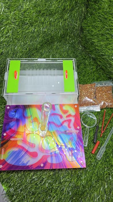 Муравьиная ферма АЛМАТЫ