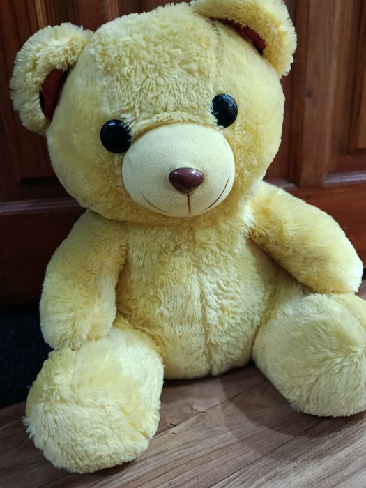 Продоедся мишка шолтый есть торг