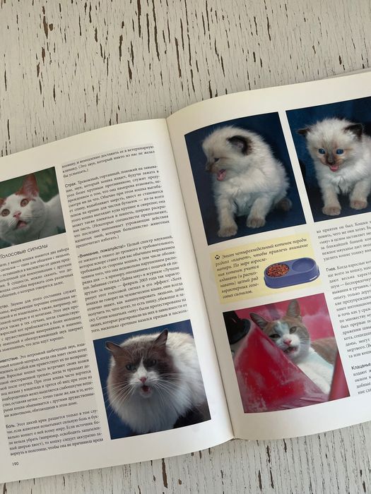 Энциклопедия про Кошек