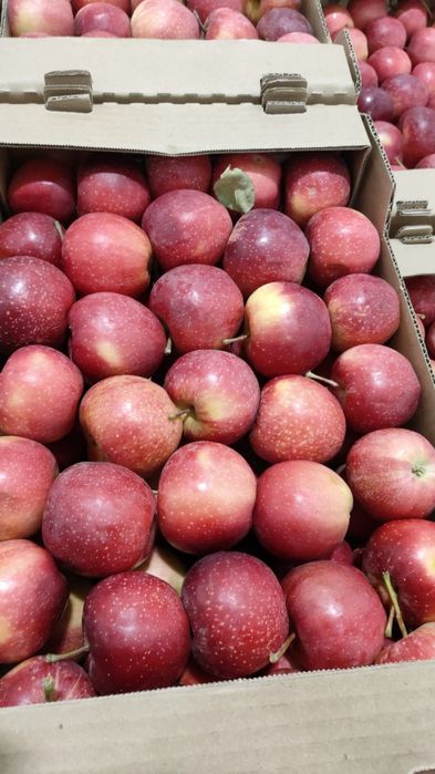 Продам яблоки , Американка , и айдорлет !!