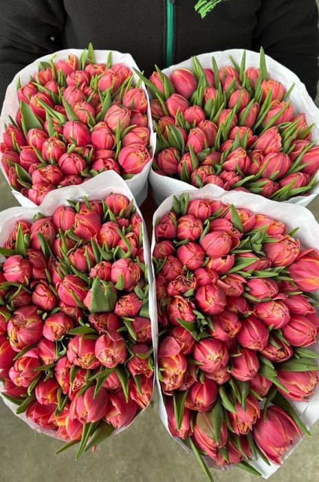 Букеты тюльпанов,пионы ,розы