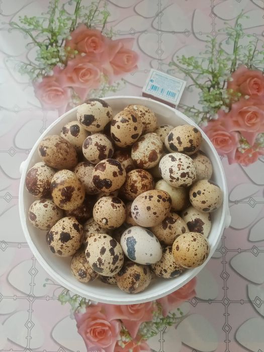 Продаю инкубационные яйца