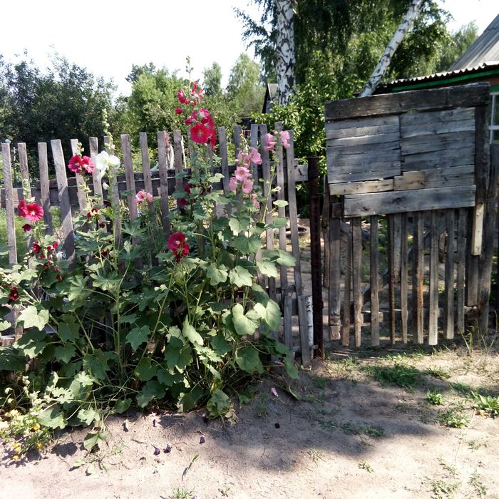 Продам дачу за Новопавловкой