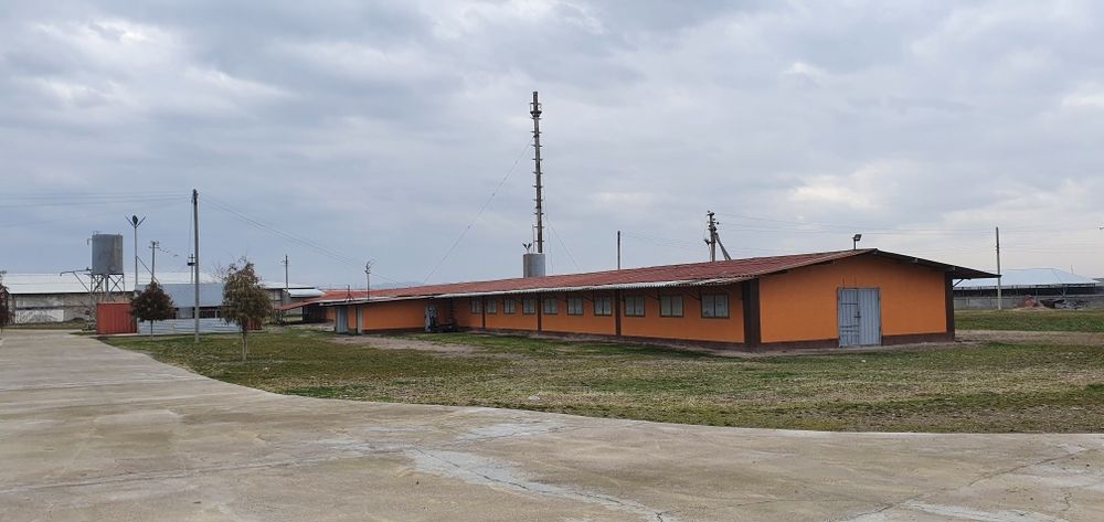 Продается молочная ферма