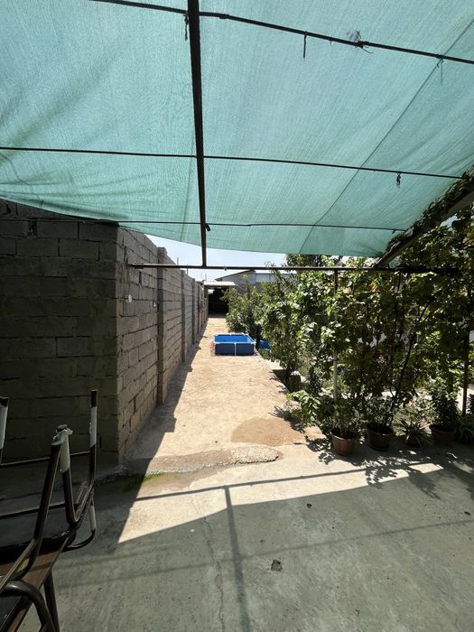 Ховли сотилади срочна