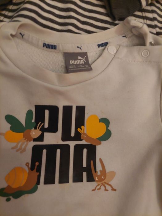 Lot set 4 bluze hanorace