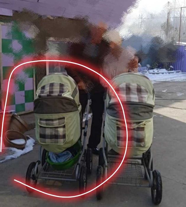 Детская коляска simfonia