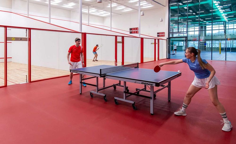 1
Теннисный стол роликовый Теннис

1