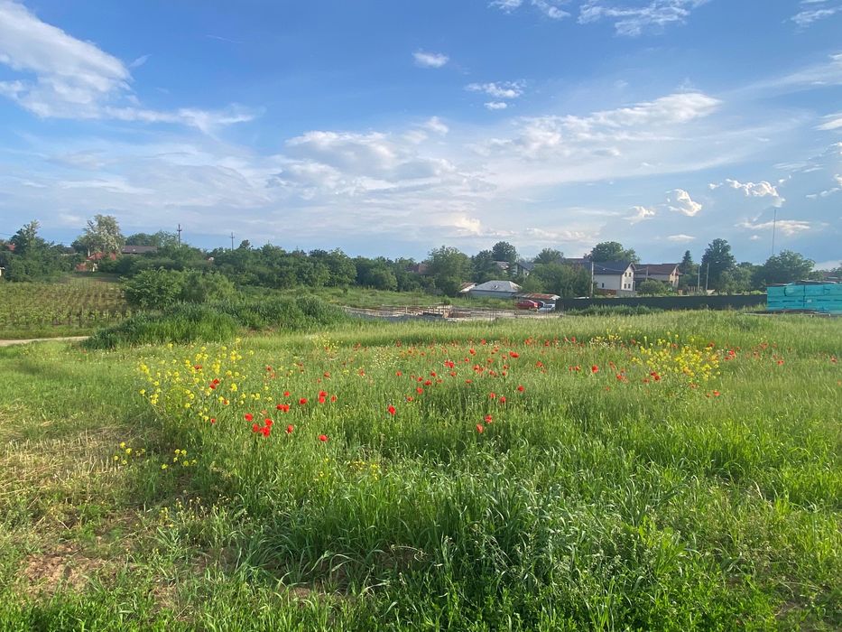 Teren intravilan de vânzare – Tâncăbești, Snagov (Ilfov)