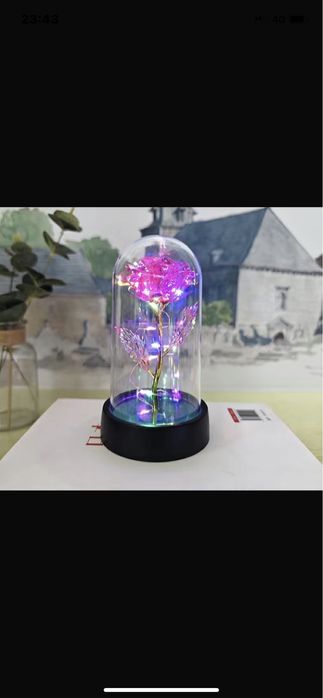 Роза в колбе цветы сувенир подарок