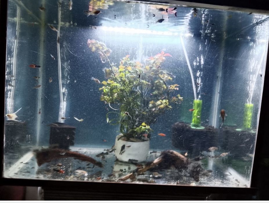 Продам аквариум