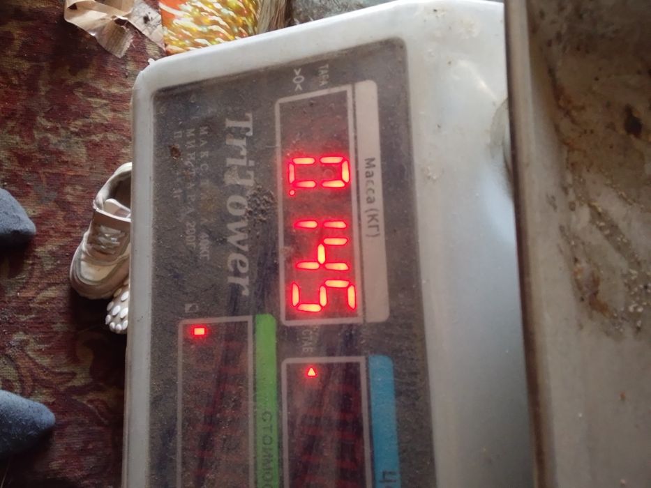 Продам цепочку серебреную