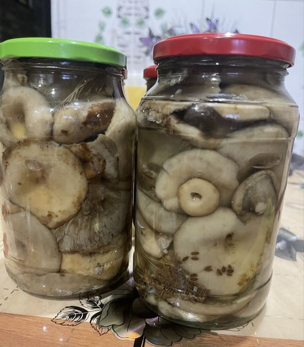 Грузди маринованные