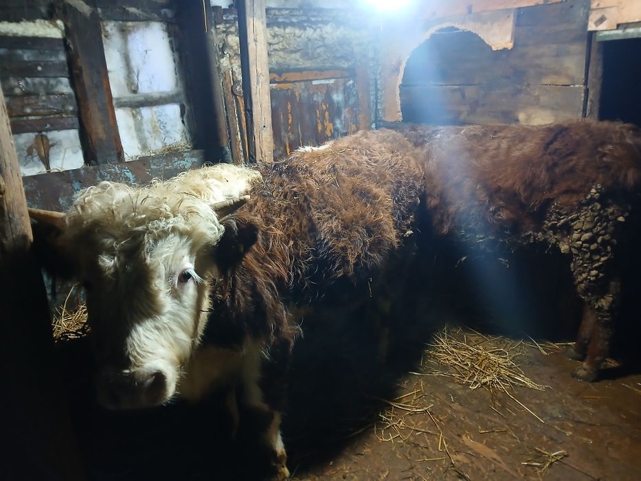 Продам продам продам