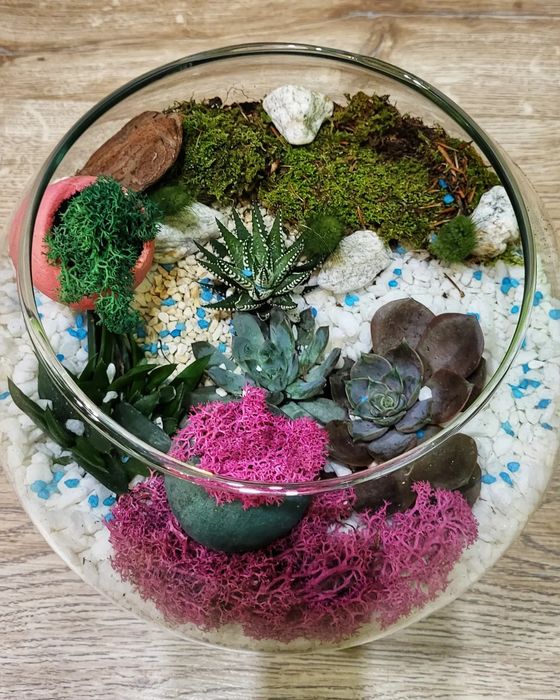 Цветя / Декорации