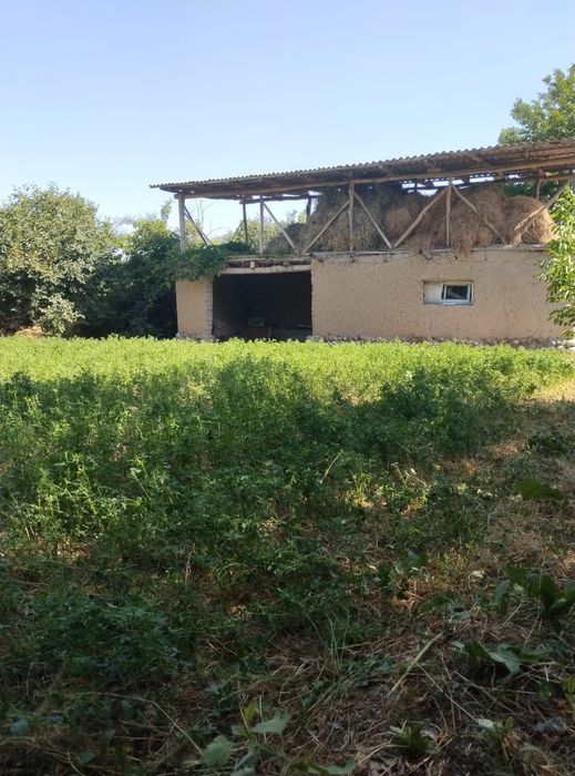 Ховли уй сотилади. Юқори Чирчиқ тумани Саксанота КФИ .Тоштуғизоқ мах.