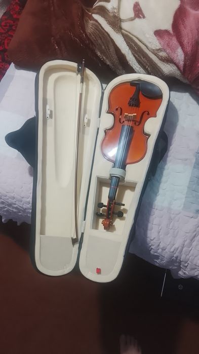 Skripka sotiladi holati yangi