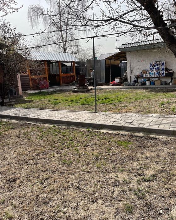 Готовый газон,газон рулонного,дайын газон