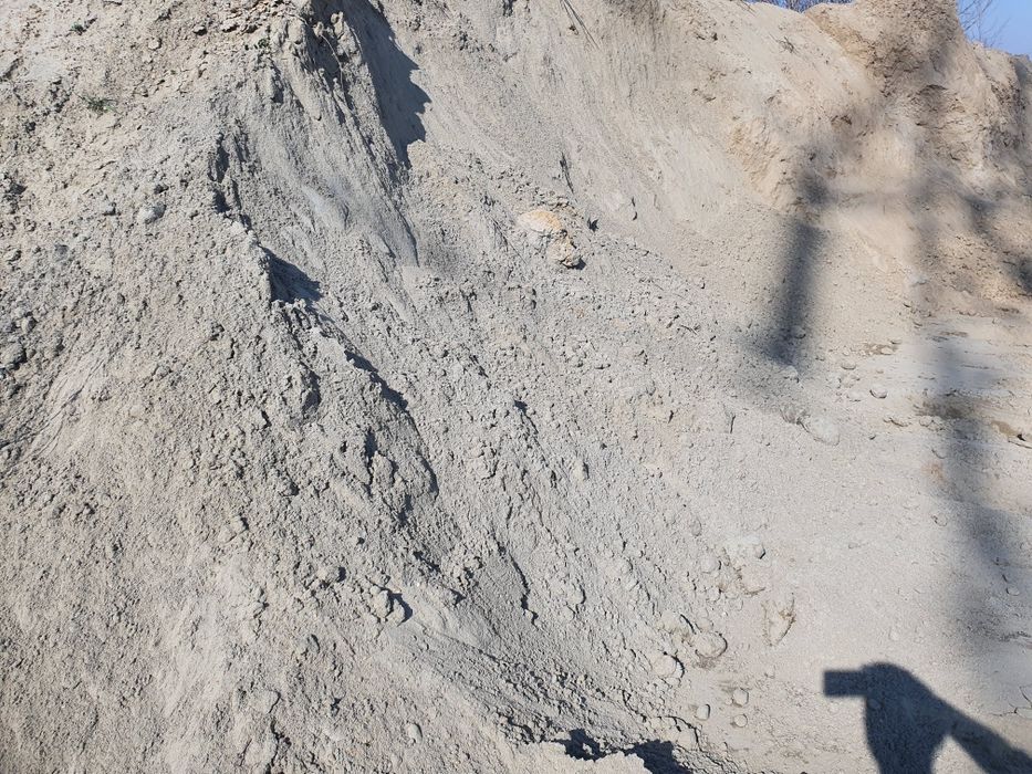 Vand PAPAMANT vegetal Negru, Nisipos pt gazon, Umplutura si Mranita